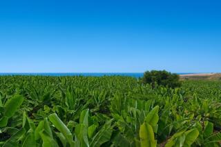 La Caldera Sunset View By Paramount Holidays - 3