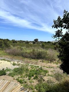 Glamping Tunquén - 7