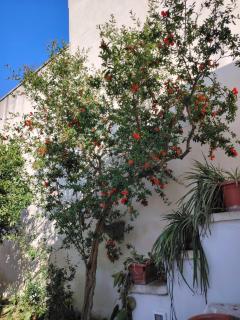 La Casetta di Nino e Imma - 4