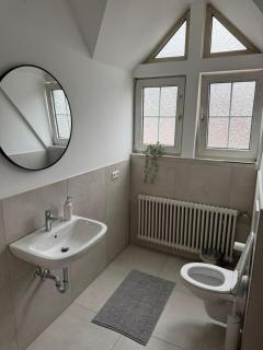 Zweistöckige Wohnung im weissen Lamm - 3