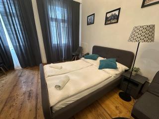 Green centrally located apartment in Vienna - 5