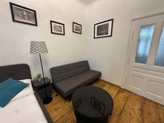 Green centrally located apartment in Vienna - 2