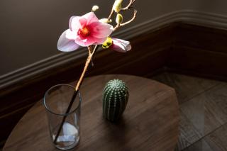 Apart Hotel Dresden - 1