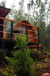 Silua Eco glamping - 9