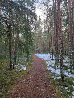 Seaside log-house 'Merehõbeda' with sauna and hot tub - 6