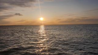 Ferienhaus Leuchtqualle - 3