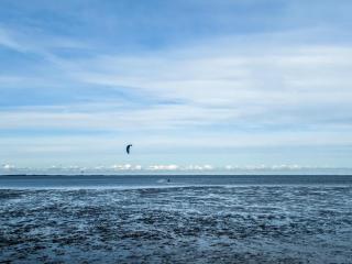 Ferienhaus Leuchtqualle - 1