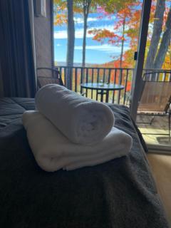 Cozy Slope CondoPet FriendlyPool, Hot Tub shared - Bellaire - 7