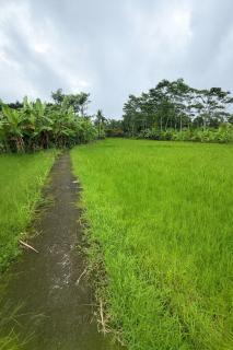 Jungle Hideaway Villas 3 - River Cafe - Ubud - 9