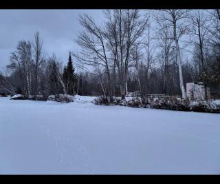 Lake Willow Lakefront House! Northwoods Retreat! - 7