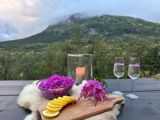 Fjellperlen, Hardangervidda - 1