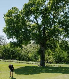 Burnham's Lodging - 3