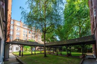 Beautiful One Bedroom Flat In St Johns Wood - 1