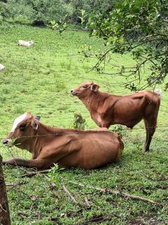 Hospedaje la subidita 1 - 9