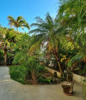 Bienvenue à la Zolie Kaz ! - 6