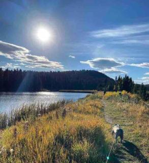 Shanti Yurt with private hot tub in Bragg Creek - 1
