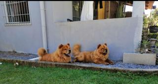 Recanto Nova Vida - 2