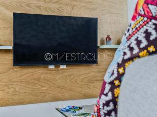 OFFRE NOËL ! Pied-à-Terre des Professionnels & Familles - Aéroport 12 min - 1