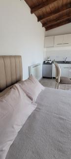 La iconica-tiny house - 1