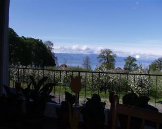 Baumanns Ferienhof Am See - 9