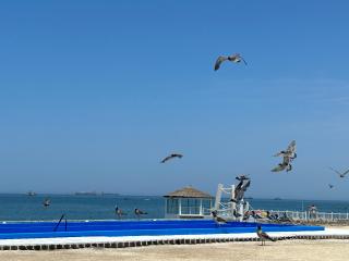 Departamento Paracas vista al mar - 7