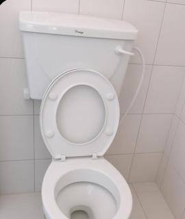 Reef Nest Studio - 3