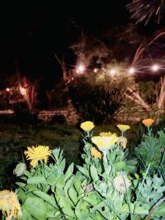 Campo Los Teritos - 7