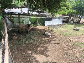 Cabañas del Mirador del tolten - 8