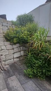 Am Rande des Donautals - 2