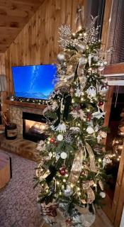 Smoky Pines Retreat - 9