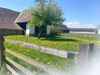 Granny's Cosy Home - 9