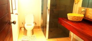 Doomsday Ark Ltd - 0