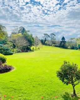 Secret Garden Cottage - 9