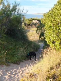 Casa vacacional a 200 mts del mar - 2