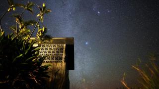 CHLOROBIANCO amami - 7