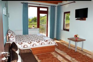 Къщи за гости Илиеви , Цигов Чарк - 4