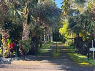 Relaxing Tropical Retreat close to Kailua Kona - 8
