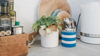 Salt Bush Cottage - Somers - 5