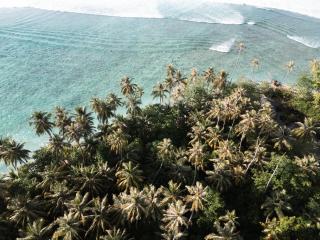 Villa Madu Mentawai - 5