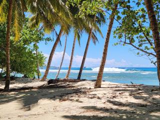 Villa Madu Mentawai - 1