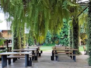 ห่มฟ้าโพธิ์แค้มป์ปิ้ง - 8