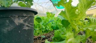 ตาเล็ก ฟาร์มสเตย์ - 3