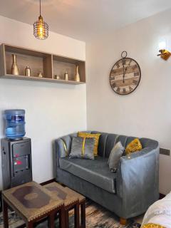 Elegant & well furnished studio - 1