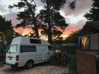 Flying Fox Backpackers - 3