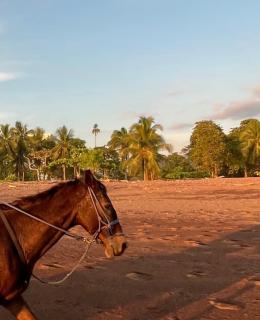 Surf VIP location - 1