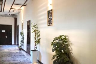 Amor fati hotel Tashkent - 4