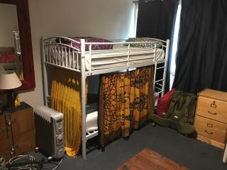 Flying Fox Backpackers - 6