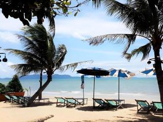 Sea Falcon on the Water - 9