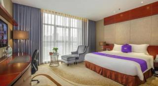 Quanzhou Jinjiang Hollyston Hotel - 8