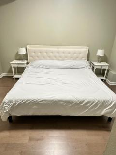 Spacious Basement with independent entry and yard - 4